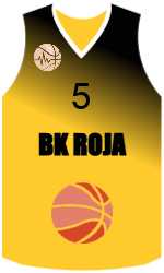Camisa do clube team-jerseys-front