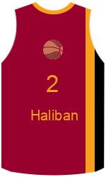 team-jerseys-back