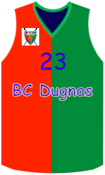 Camisa do clube team-jerseys-front