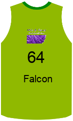 Camisa do clube team-jerseys-front